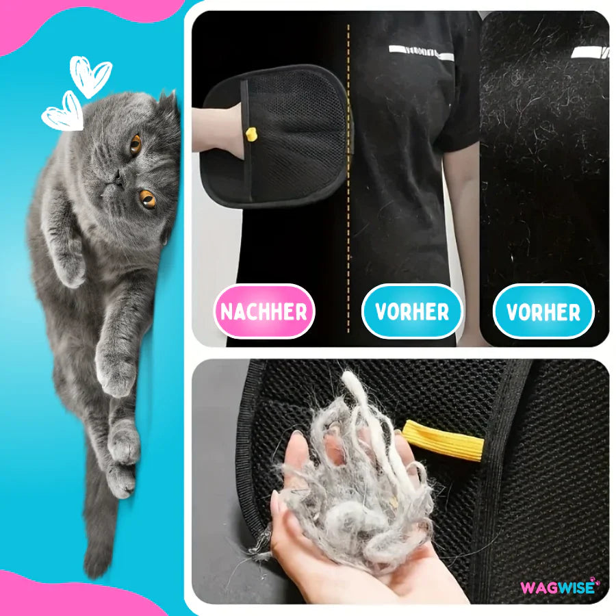 Guanto FellMagnet - Rimuovi peli di animali